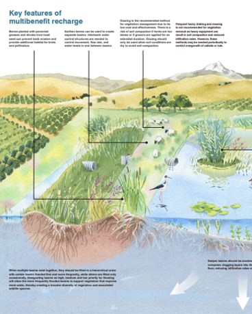 Section of the Multibenefit Groundwater Recharge Guide